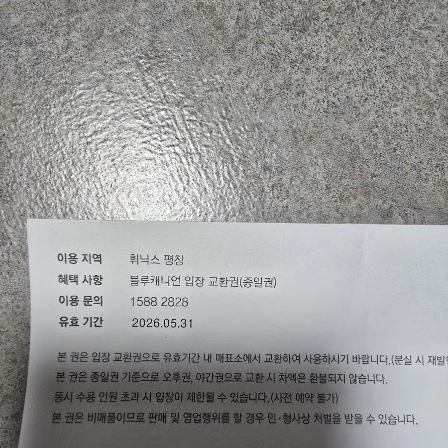 휘닉스파크 블루캐니언 종일권 2매