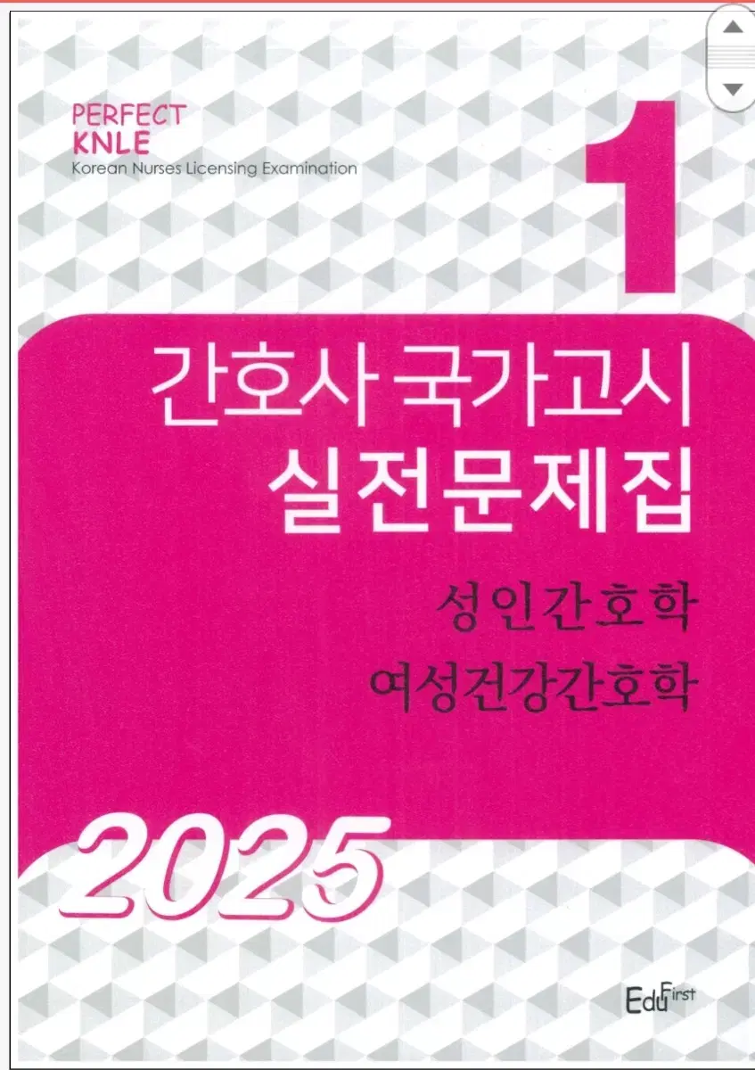 2025  빨노파