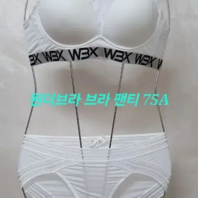 원더브라 브라 타사 팬티 75A 90