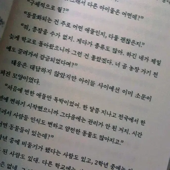 열다섯에 곰이라니