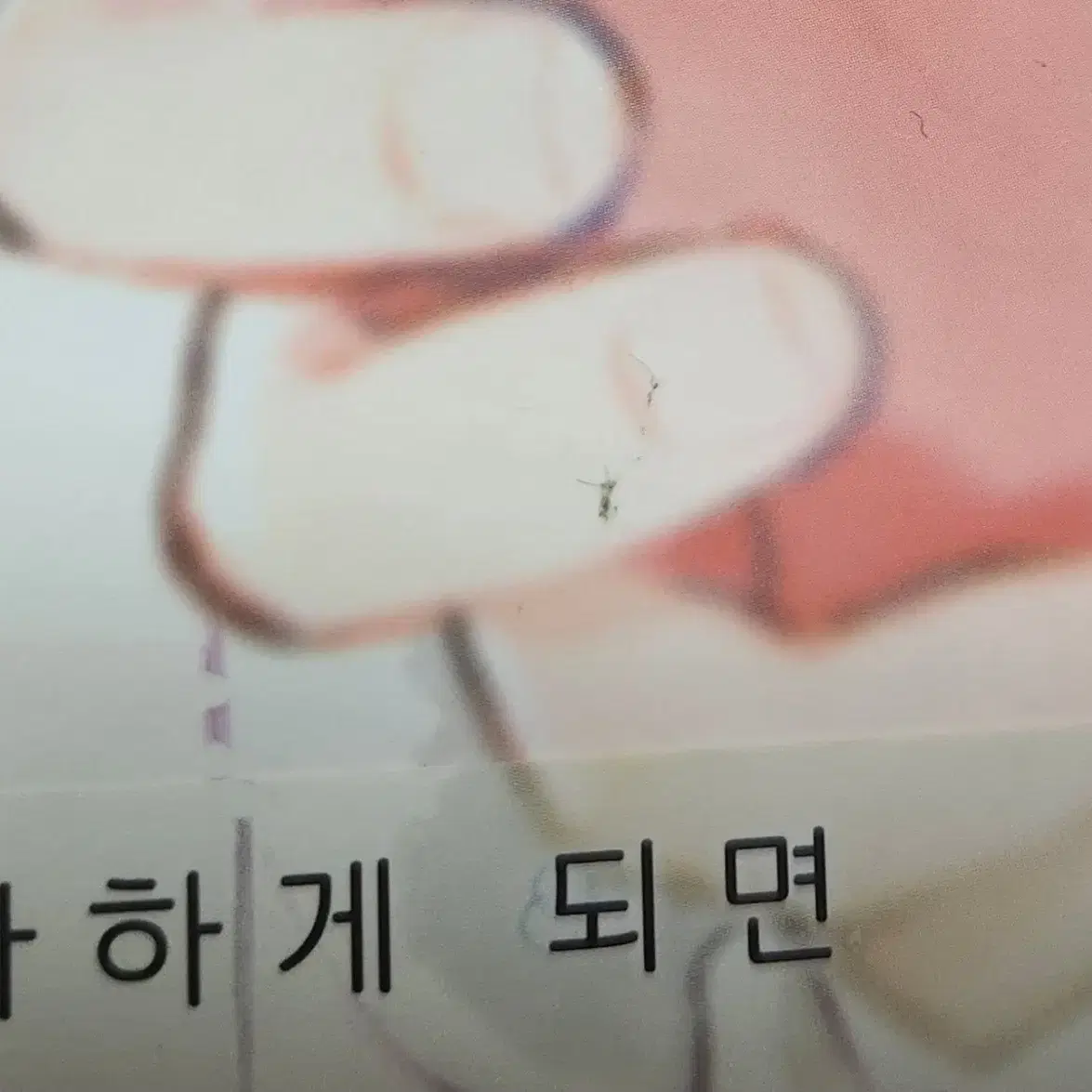 [일괄양도]순정만화 반딧불이의혼례 사거천 아가씨라고부르지말아줘 만화책