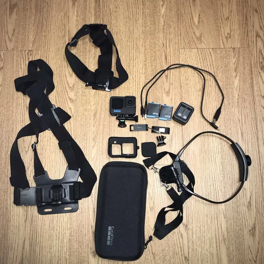 GoPro 10 + all Accessory