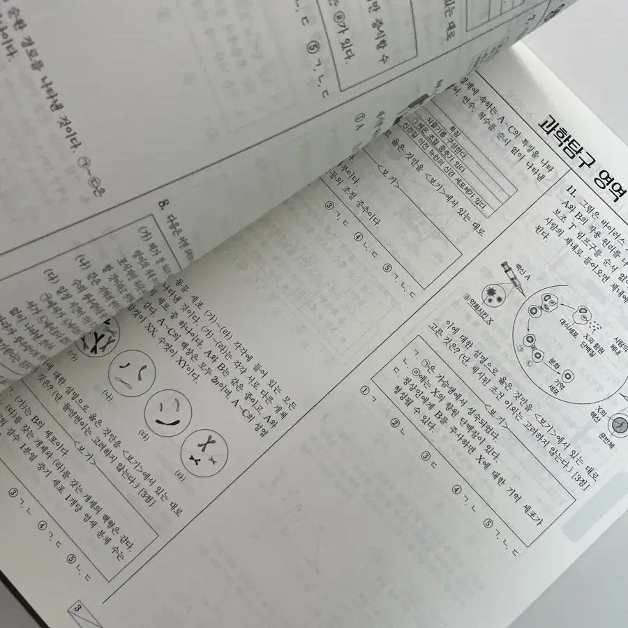 (새책)백호 개념형 모의고사(비킬러)2025