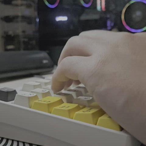 neo80 wkl 레트로 화이트 팝니다