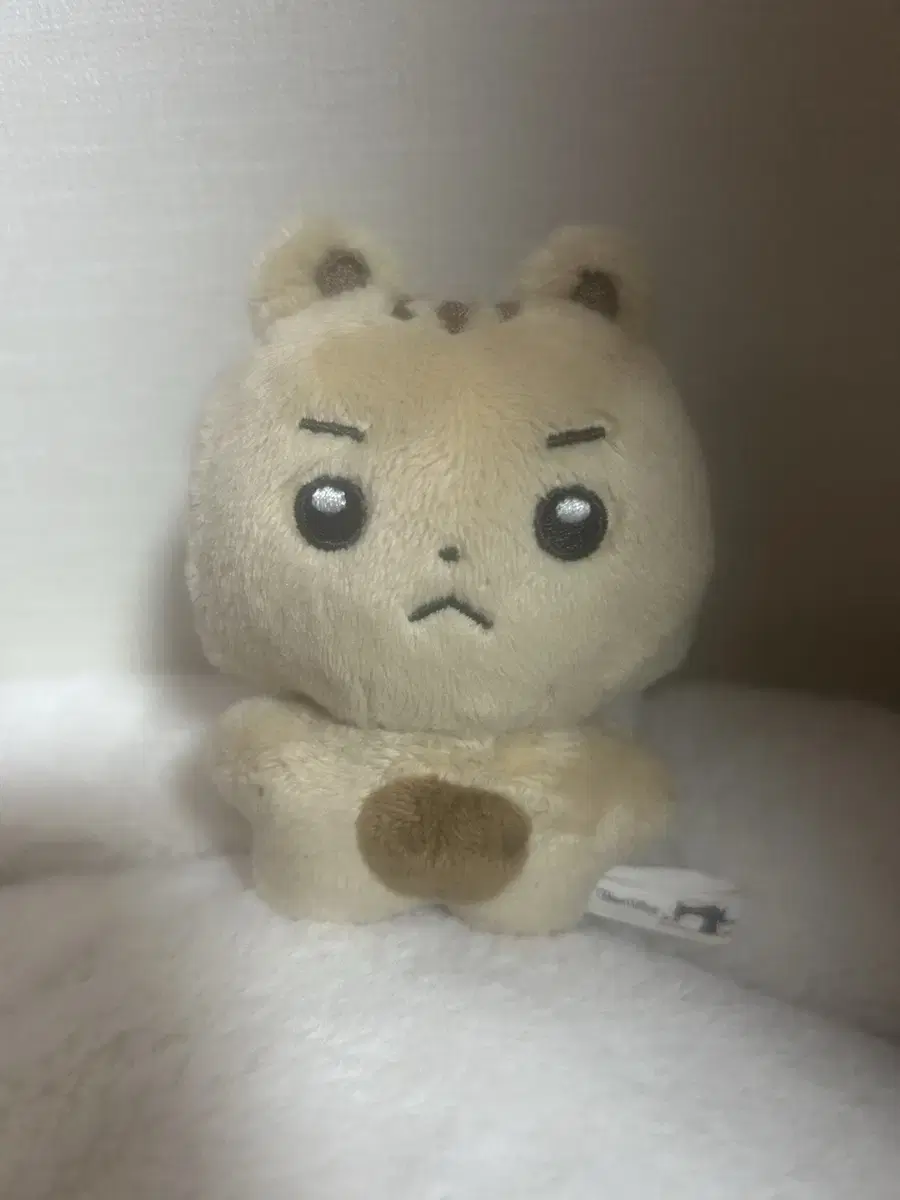 루시인형 엽톨이 팔아요