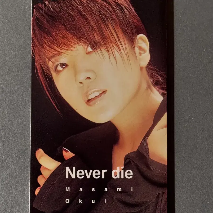 OVA 슬레이어즈 엑셀런트 주제가_Never die