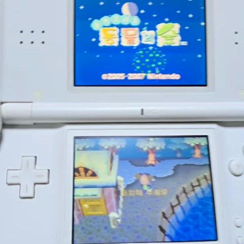 B+급 닌텐도 DS Lite DSL 화이트 가성비