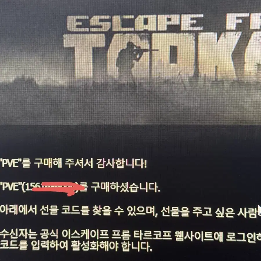 타르코프 pve 코드 팝니다