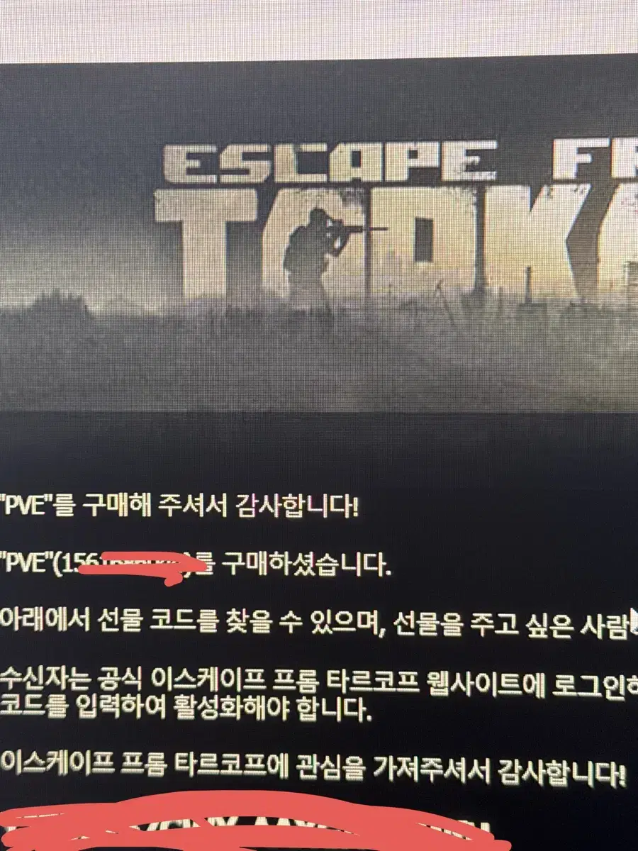 타르코프 pve 코드 팝니다