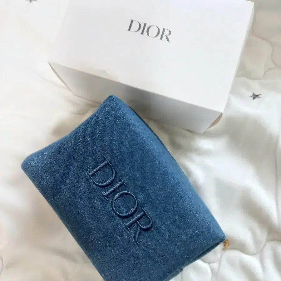 Dior 디올 파우치