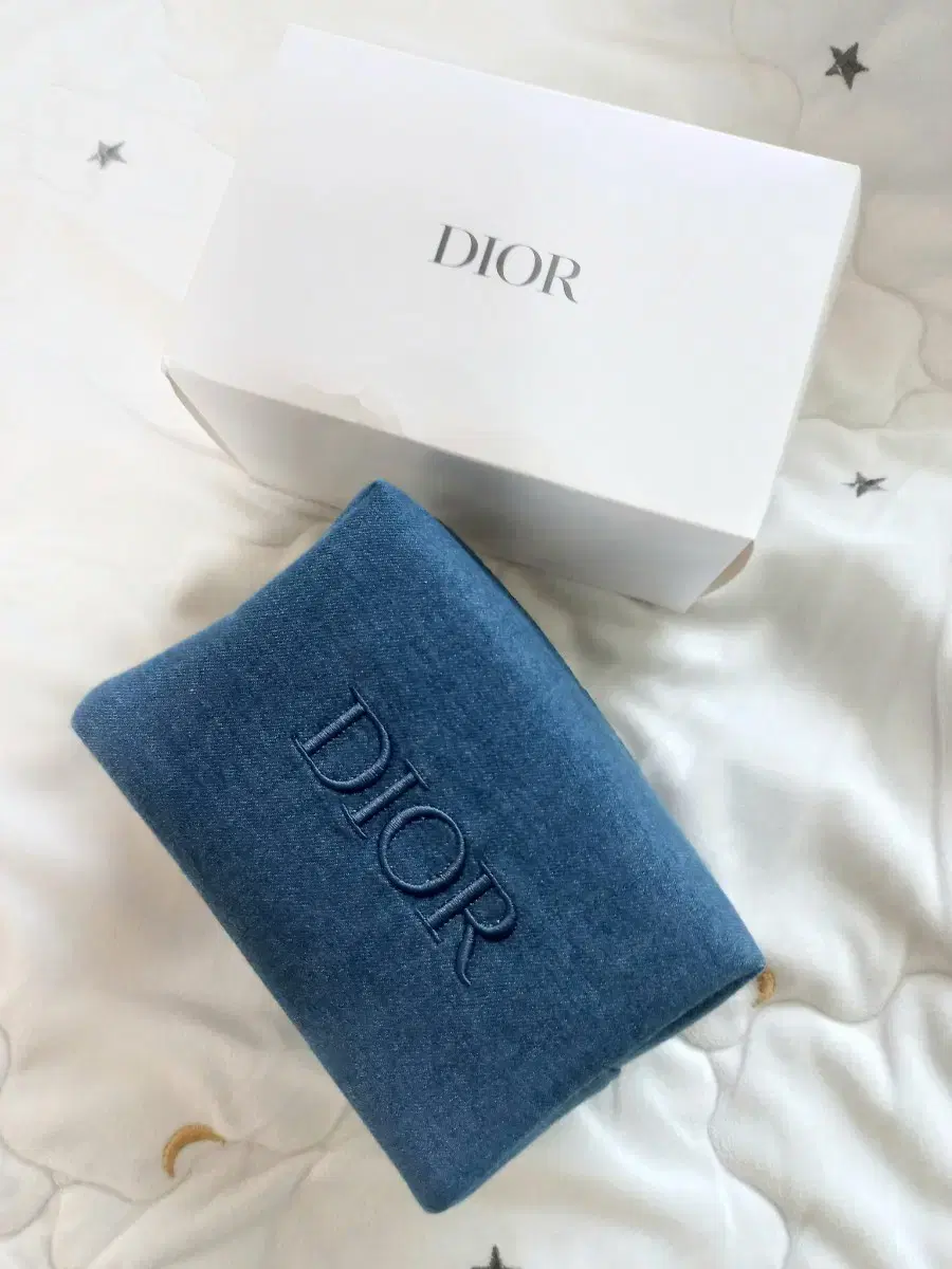 Dior 디올 파우치