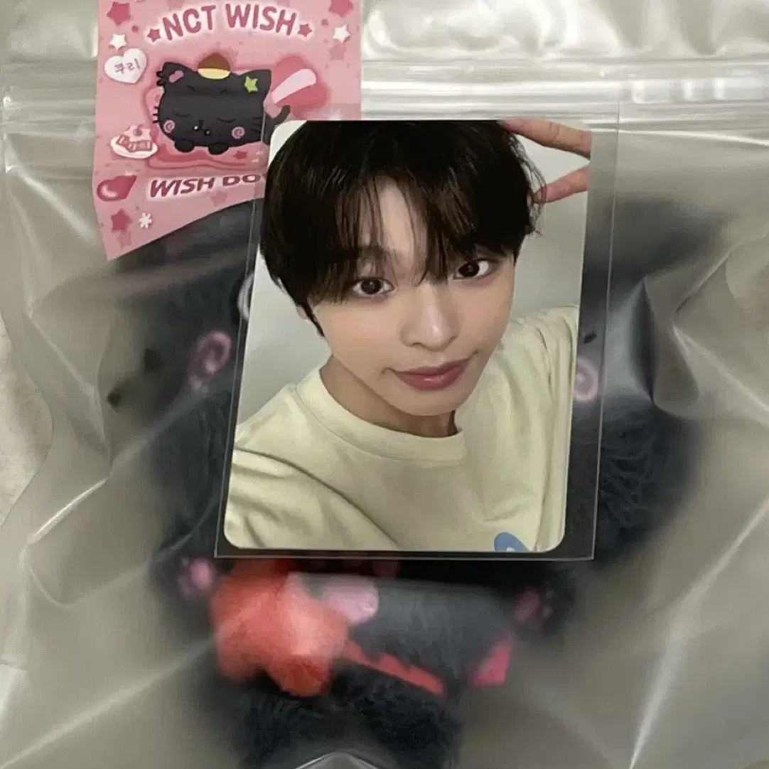 NCT WISH DOLL 엔시티 위시 리쿠 럭드 쿠리 미개봉 새제품 현물