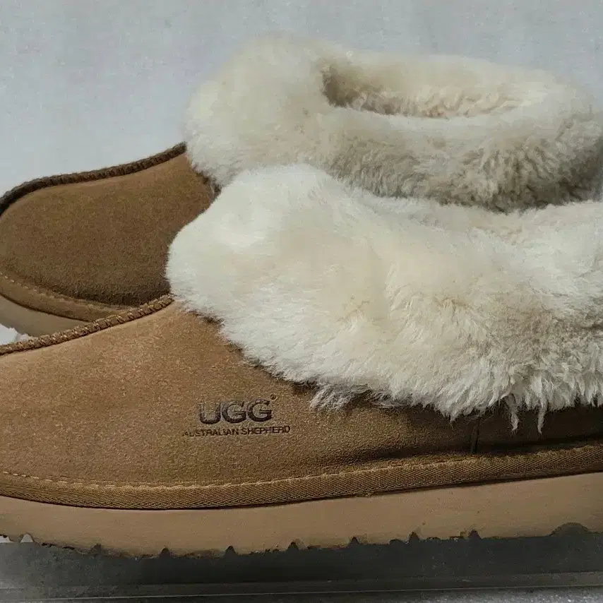 어그 UGG 셰퍼드 호미 모카신 겨울 슬리퍼 공용 250~255