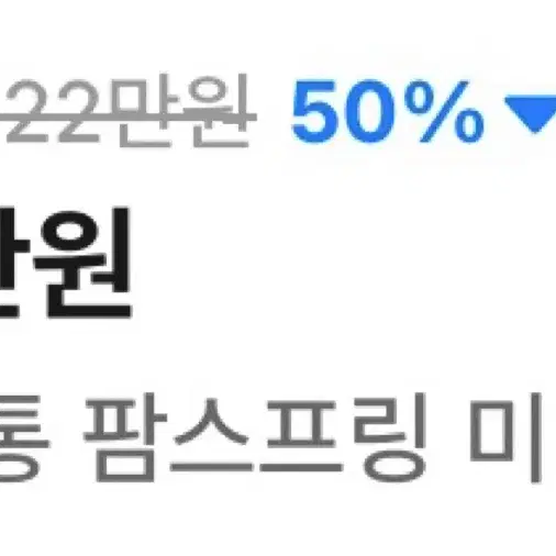 루이비통 팜스프링 미니 백팩