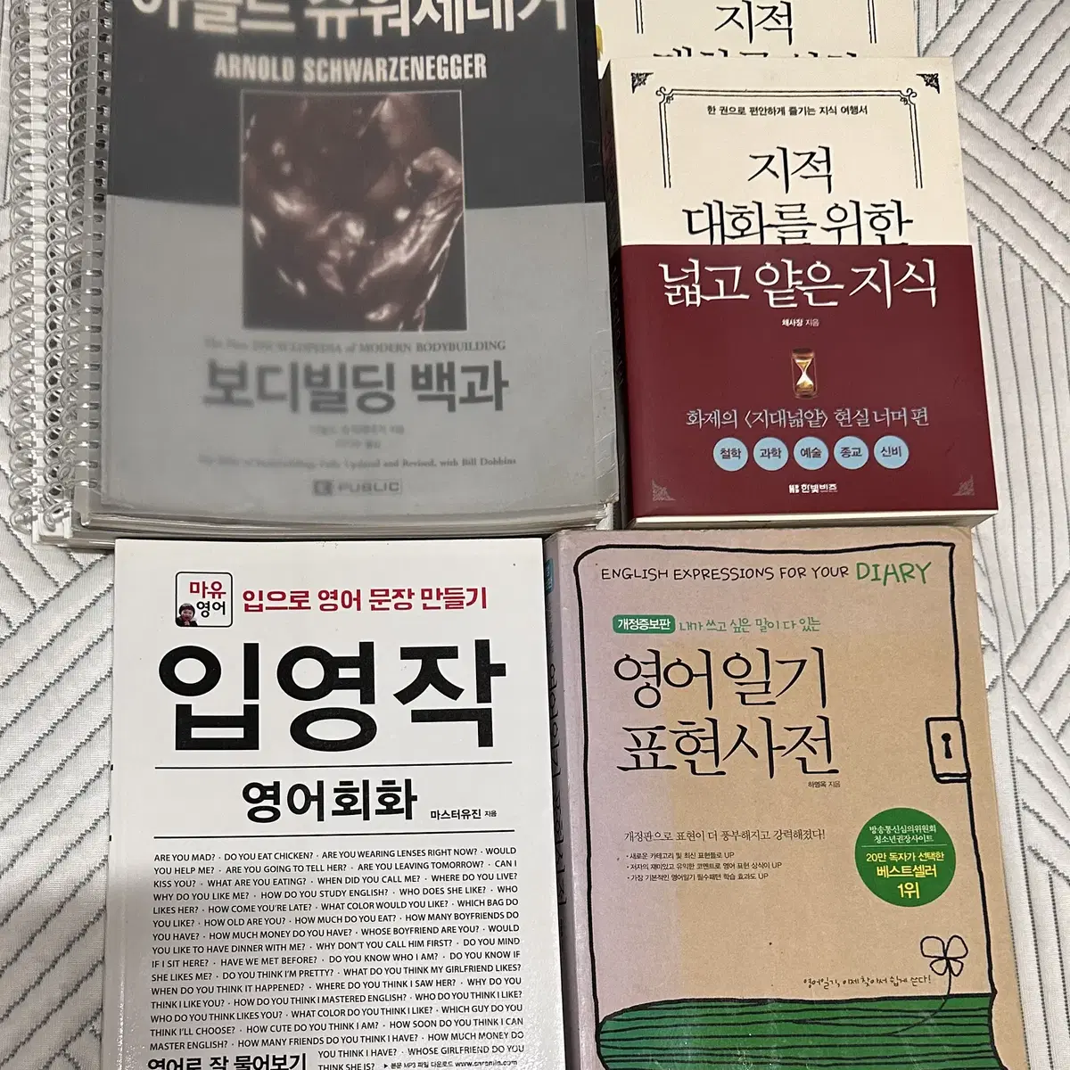 아놀드 보디빌딩백과+지적대화+입영작+영어일기 팝니다