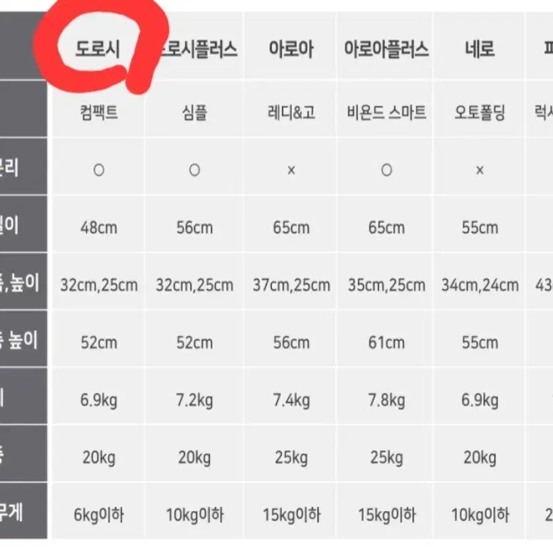 낫쏘빅도로시