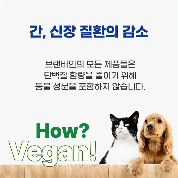 강아지 브랜바인 기관지,폐 영양제