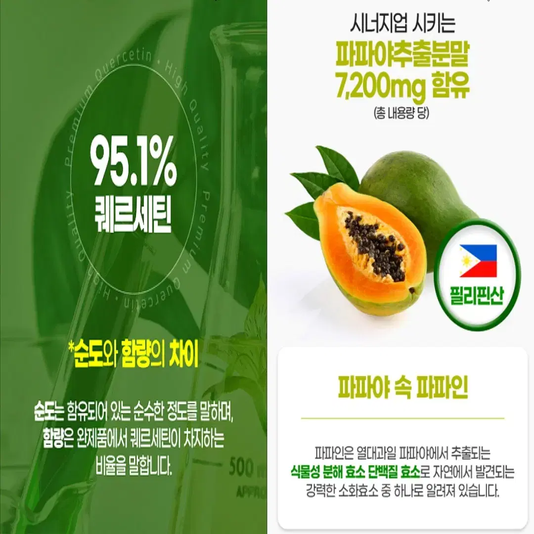 내추럴플러스 브로멜라인 퀘르세틴 플러스 600mg x 60정