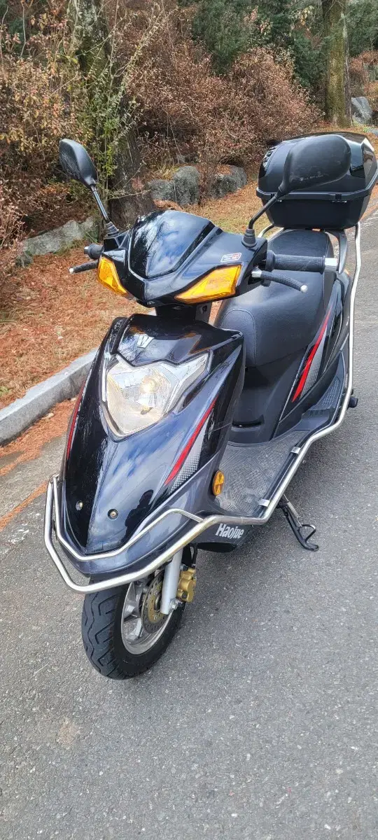 조이스타100cc