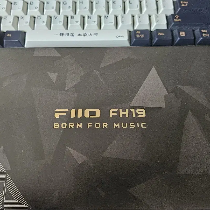 fiio fh19 플래그쉽 이어폰 피오 4.4