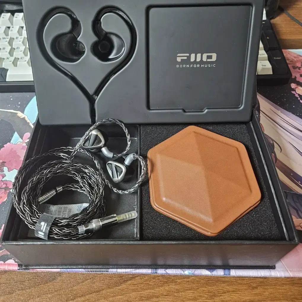 fiio fh19 플래그쉽 4.4 이어폰 2dd 6ba