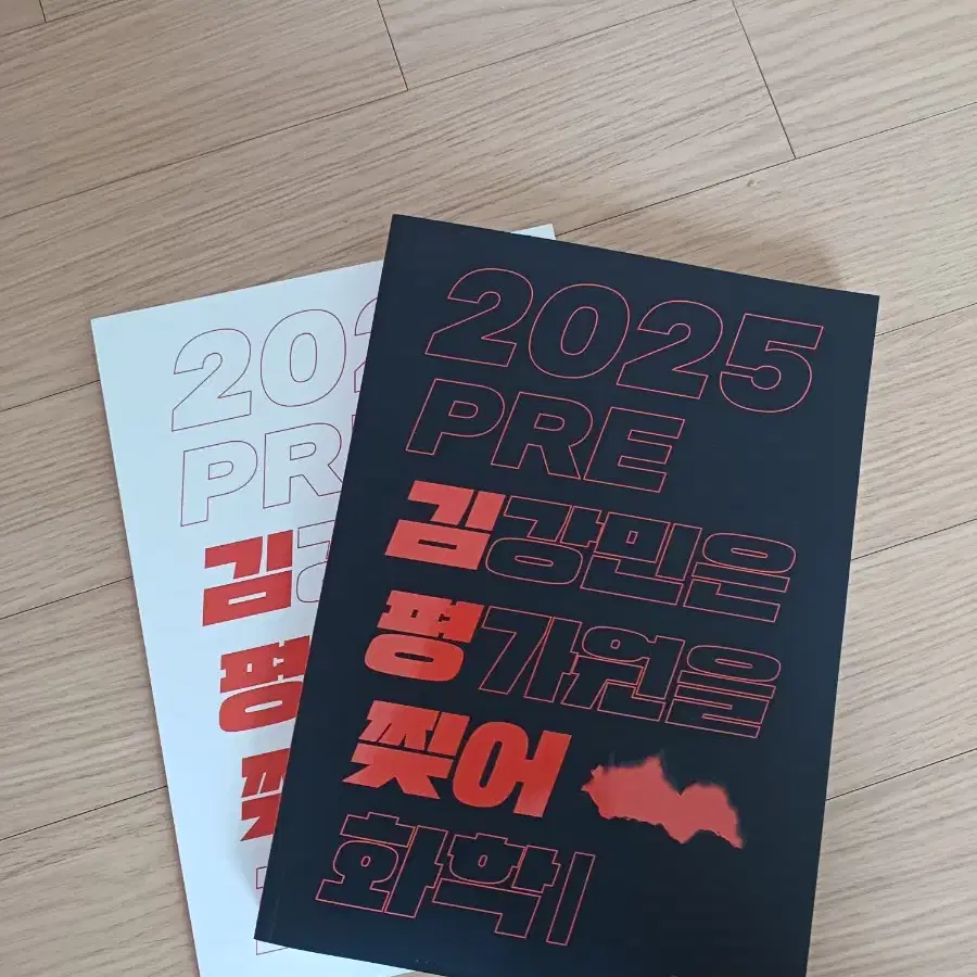 2025 시대인재 김강민 T 김평찢(기출분석서)