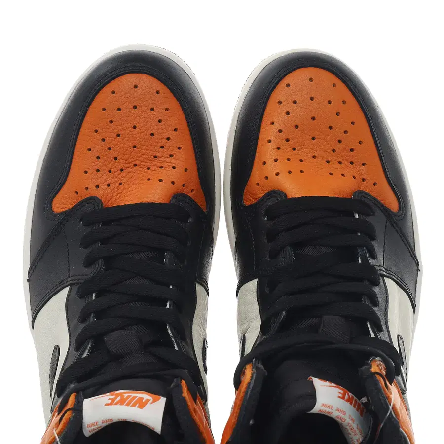 Air Jordan 1 Retro High Shattered Backboard