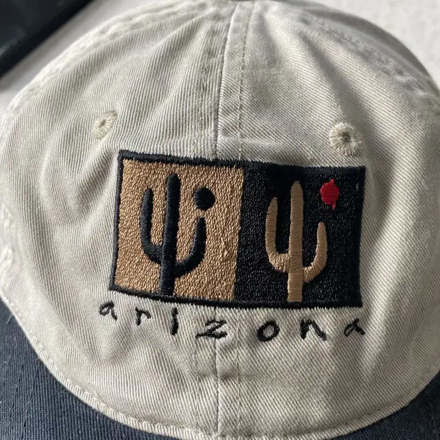 Arizona Vintage Cap