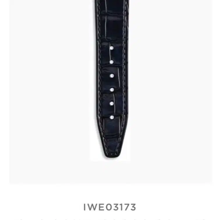 IWC 산토니 블루 엘리게이터 레더 스트랩