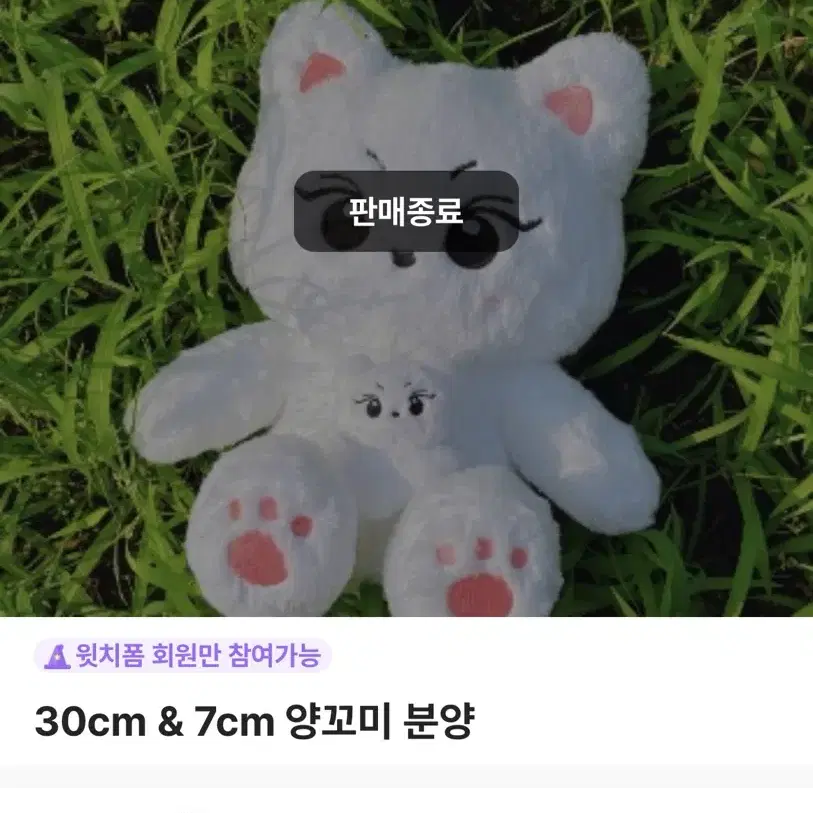 엔하이픈 정원 인형 30cm 양꼬미 미개봉 양도