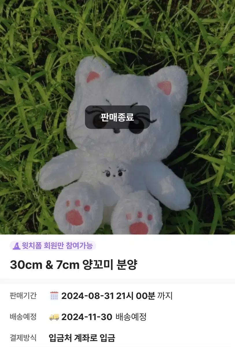 엔하이픈 정원 인형 30cm 양꼬미 미개봉 양도