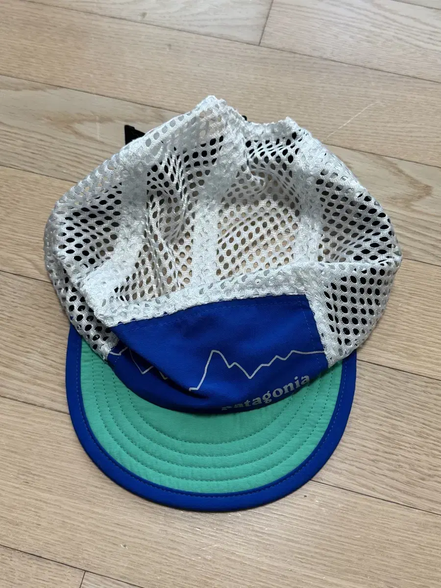 Patagonia Duckbill Cap