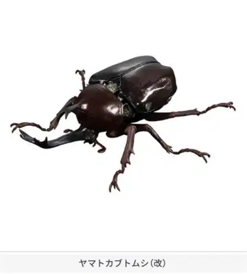 미니어처 피규어 생물대도감 가챠 장수풍뎅이 04 야마토 장수풍뎅이 개
