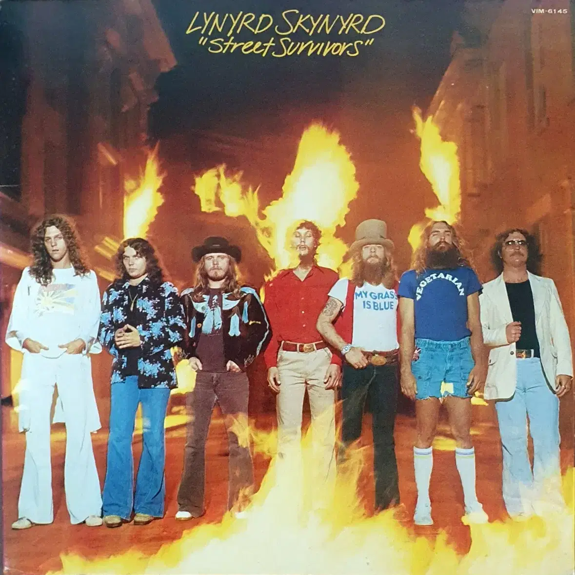 LP ㅡ Lynyrd Skynyrd  수입음반