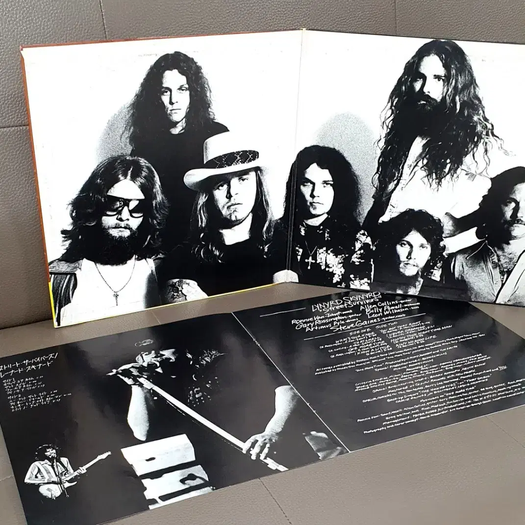 LP ㅡ Lynyrd Skynyrd  수입음반