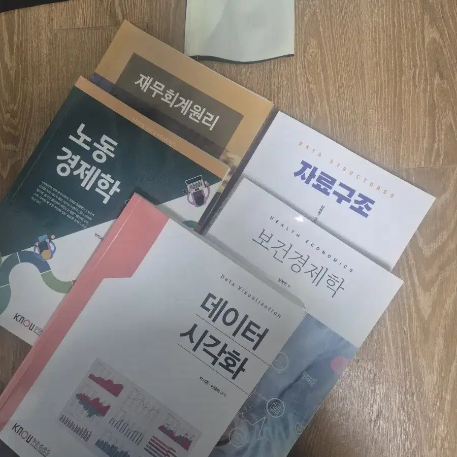 방통대 교재 노동경제학,보건경제학,재무회계원리,자료구조,데이터시각화