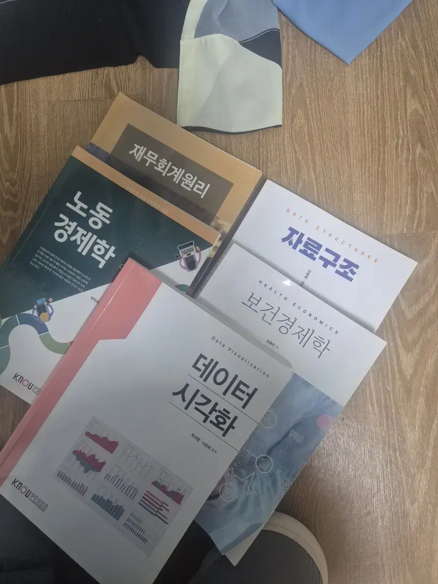 방통대 교재 노동경제학,보건경제학,재무회계원리,자료구조,데이터시각화