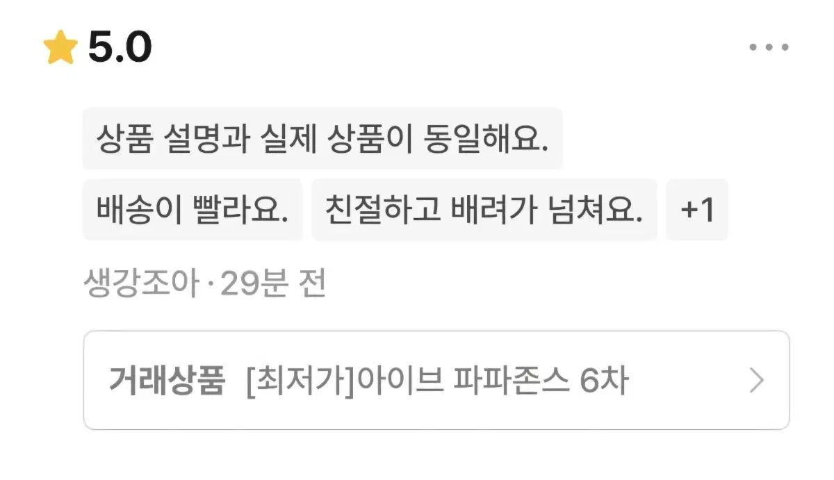 [최저가]아이브 파파존스 6차