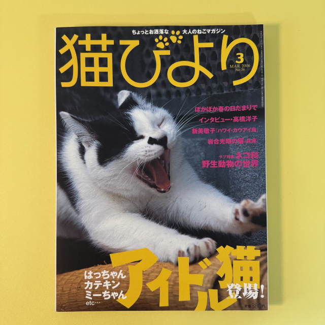 빈티지 잡지 네코비요리 2006-03 고양이 사진 화보 집사 네코 일본