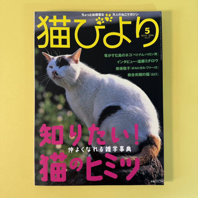 빈티지 잡지 네코비요리 2006-05 고양이 사진 화보 집사 네코 일본