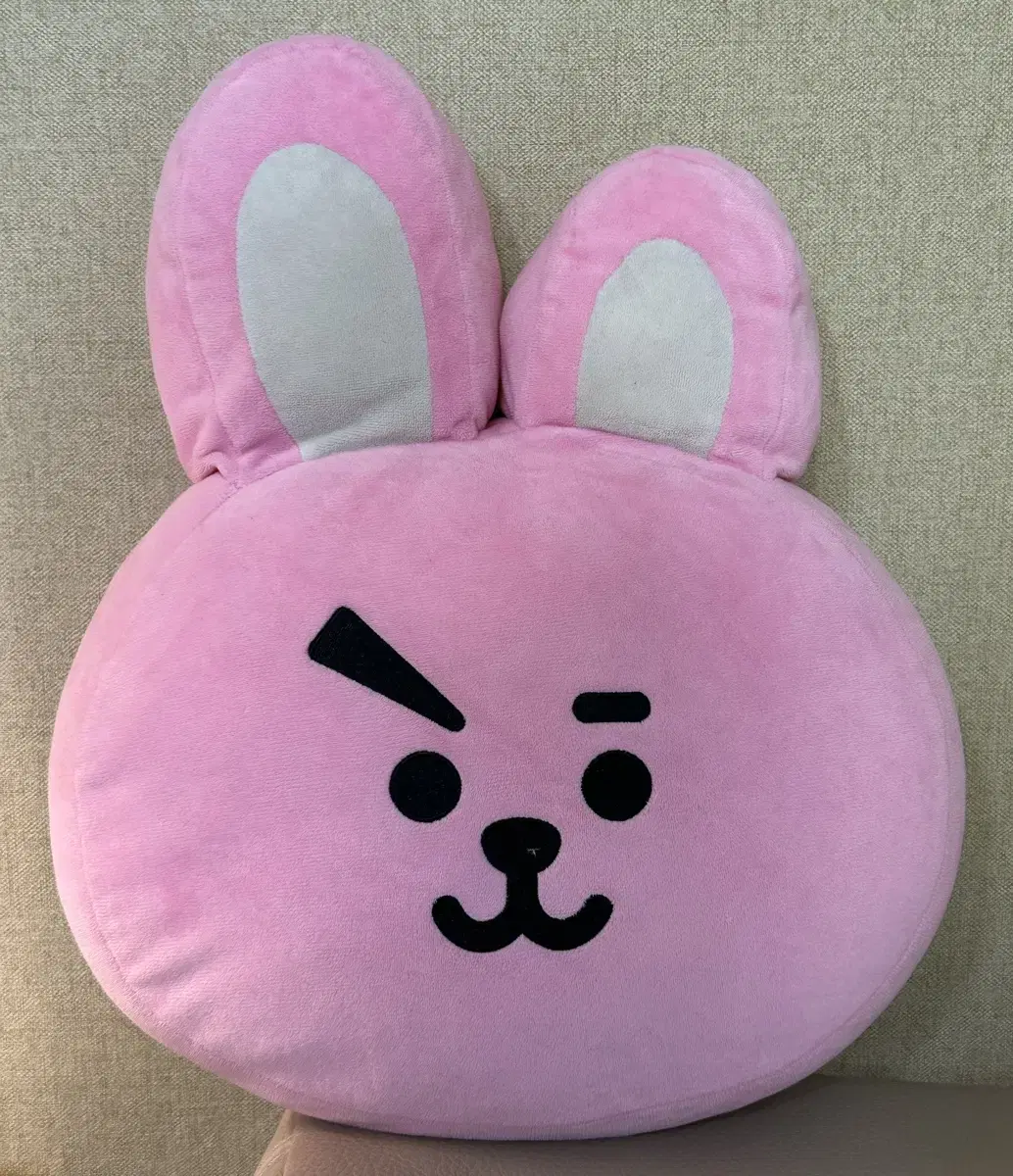 BT21 쿠키 30cm 얼굴 쿠션