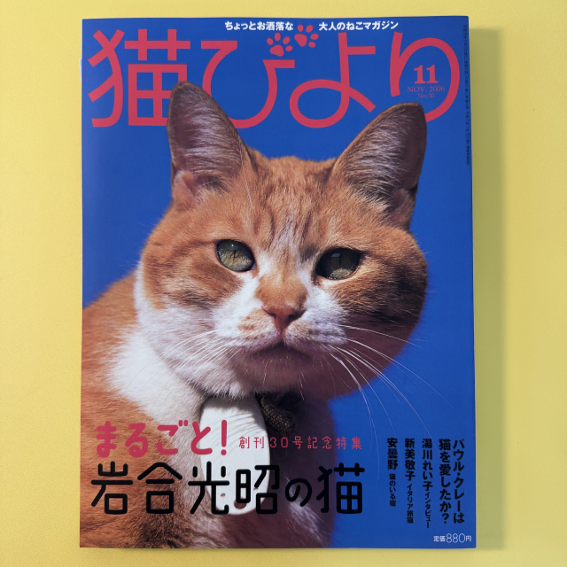 빈티지 잡지 네코비요리 2006-11 고양이 사진 화보 집사 네코 일본