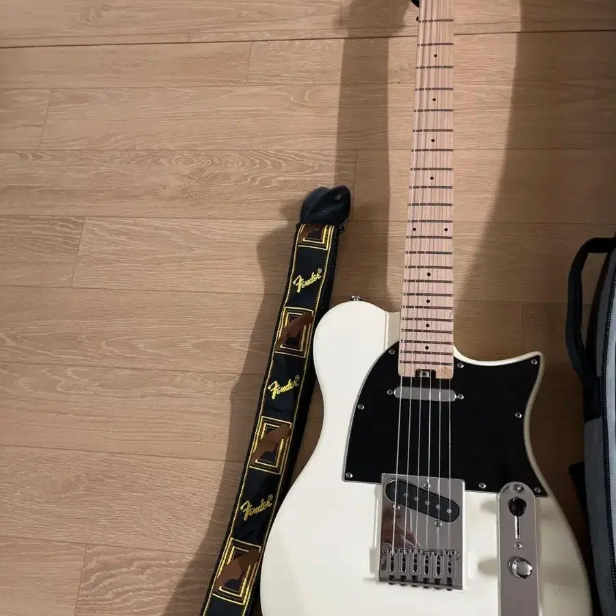 헥스T100 TELECASTER 입문용 텔레 일렉키타