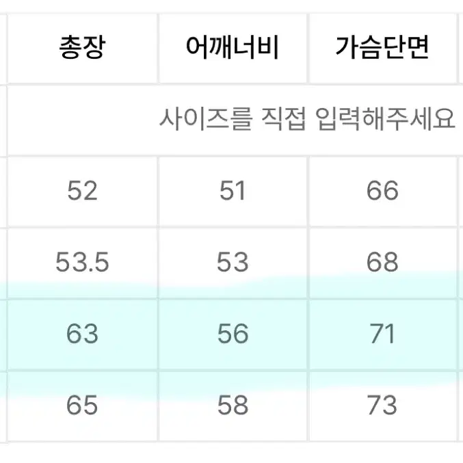 던스트 숏패딩 M