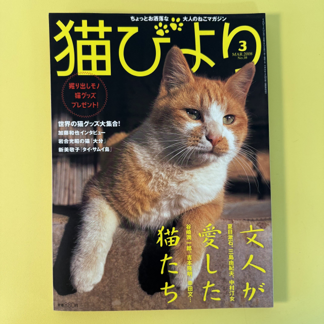 빈티지 잡지 네코비요리 2008-03 고양이 사진 화보 집사 네코 일본