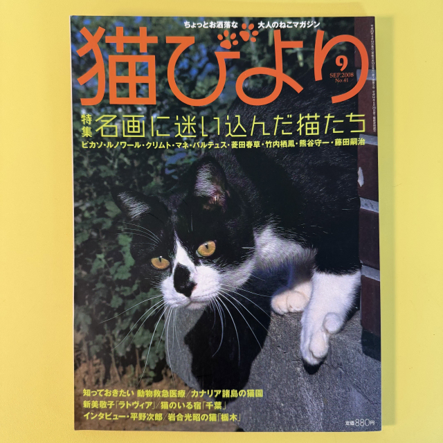 빈티지 잡지 네코비요리 2008-09 고양이 사진 화보 집사 네코 일본