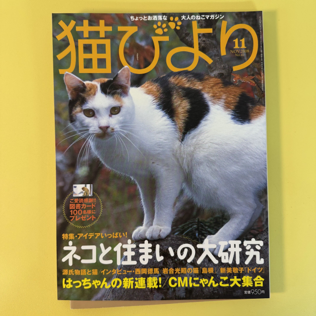 빈티지 잡지 네코비요리 2008-11 고양이 사진 화보 집사 네코 일본