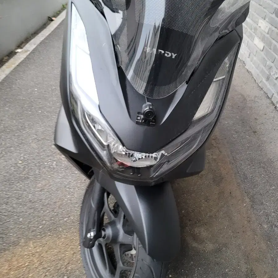 pcx125 2024