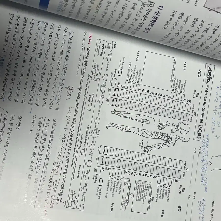 물리치료학과 전공책