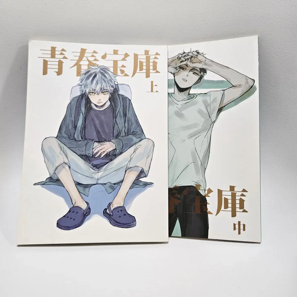 Bokuaka Bian + Winston's newsletter bulk sold (9 copies total)